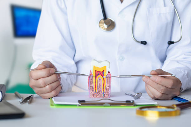 Best Emergency Treatment for Dental Infections or Abscesses in South Venice, FL